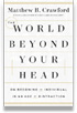 World Beyond Your Head