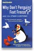 Why Don’t Penguins’ Feet Freeze?